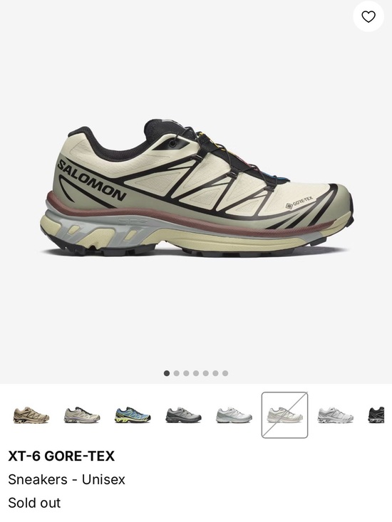 Salomon Shoes - Salomon XT-6 GORE-TEX Trail Sneaker — Cream with Black Accents